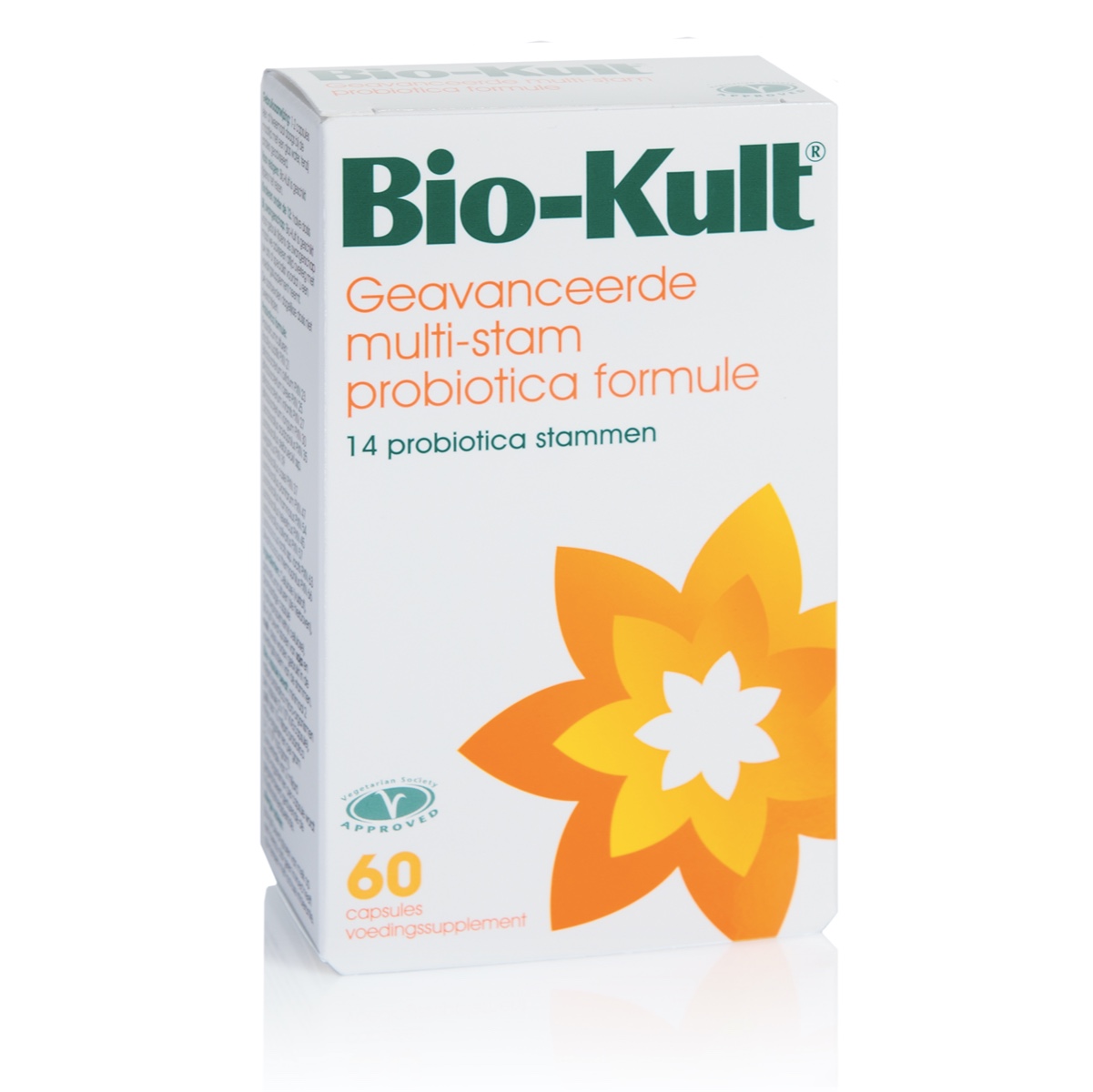 multi-stam-klein